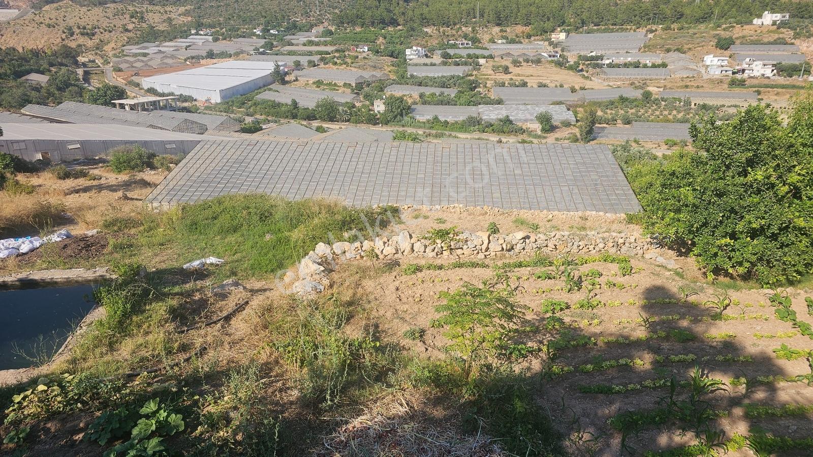 Karakuş Emlaktan 2 Ev ,seralı Ve Üretime Hazır Satılık Arazi - Görsel 13