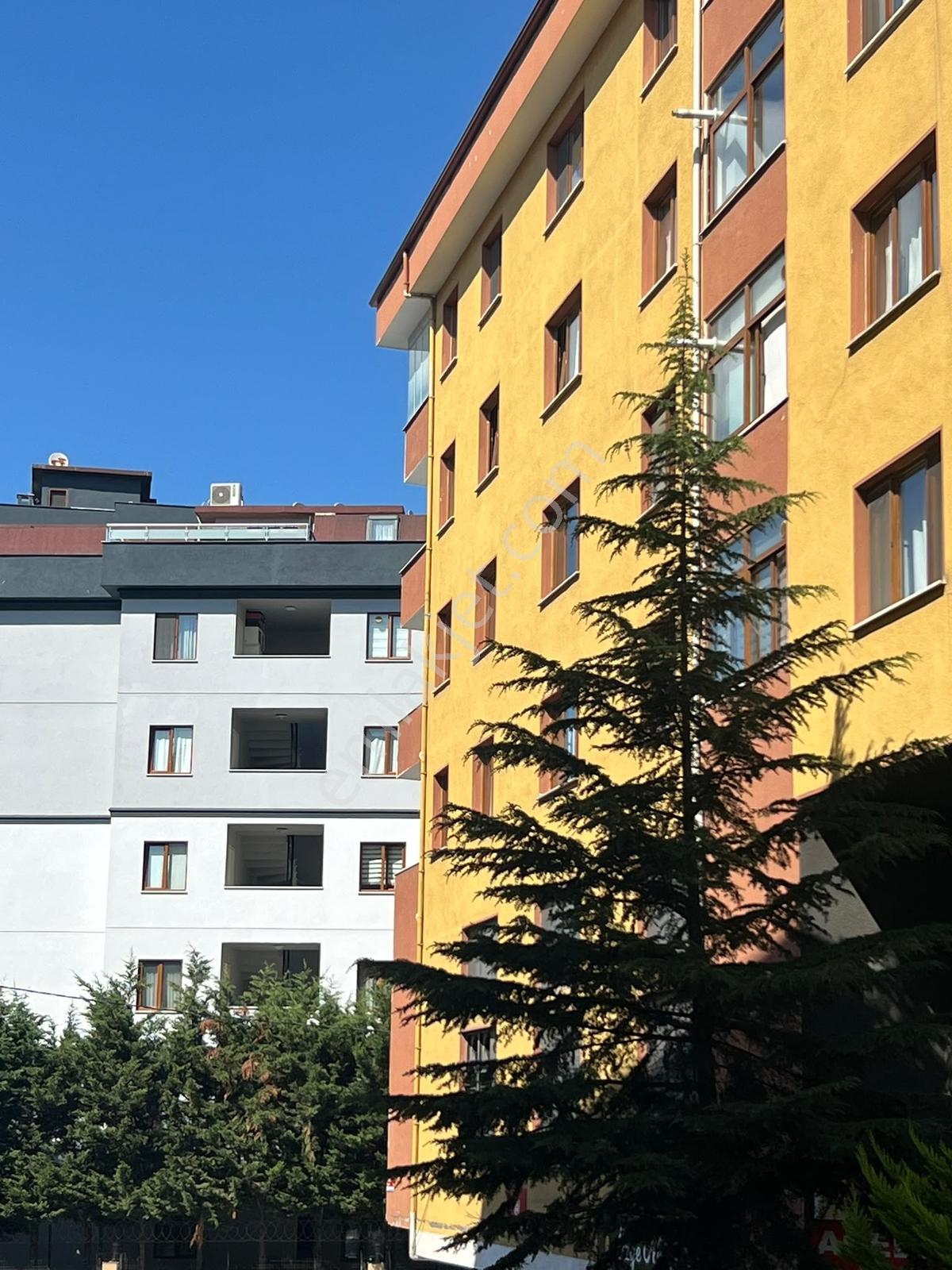 Küçükbakkalköy Merkezde Geniş 3+1 Kiralık Daire - Görsel 24