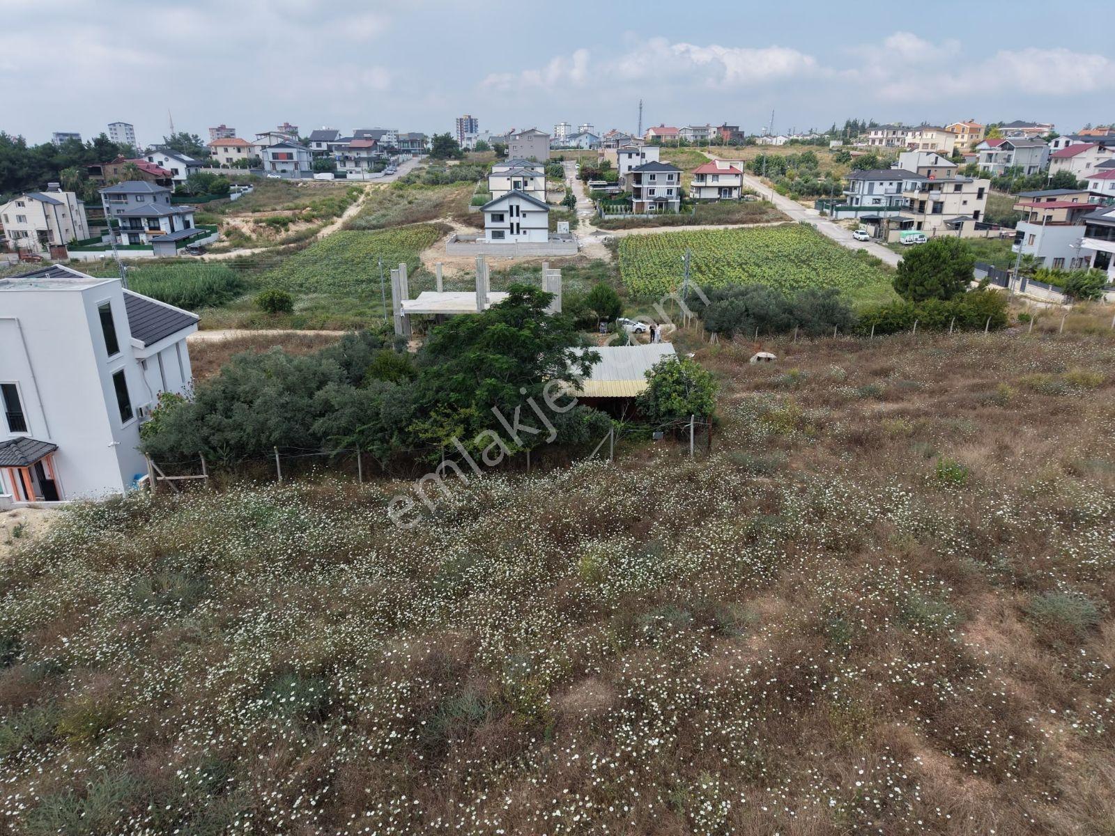Sarıçam Çınarlı Tek Tapulu Villa İmarlı Arsa - Görsel 2