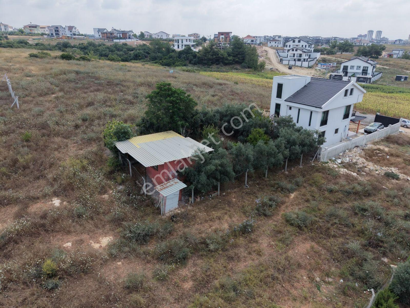 Sarıçam Çınarlı Tek Tapulu Villa İmarlı Arsa - Görsel 3