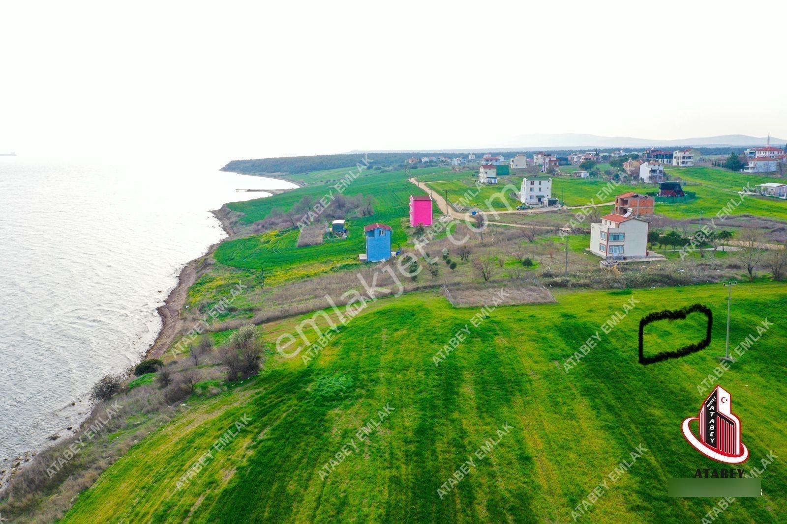Atabey Gayrimekulden Kızılcaterzi 1001.tatil Sit. Satılık Arsa - Görsel 4