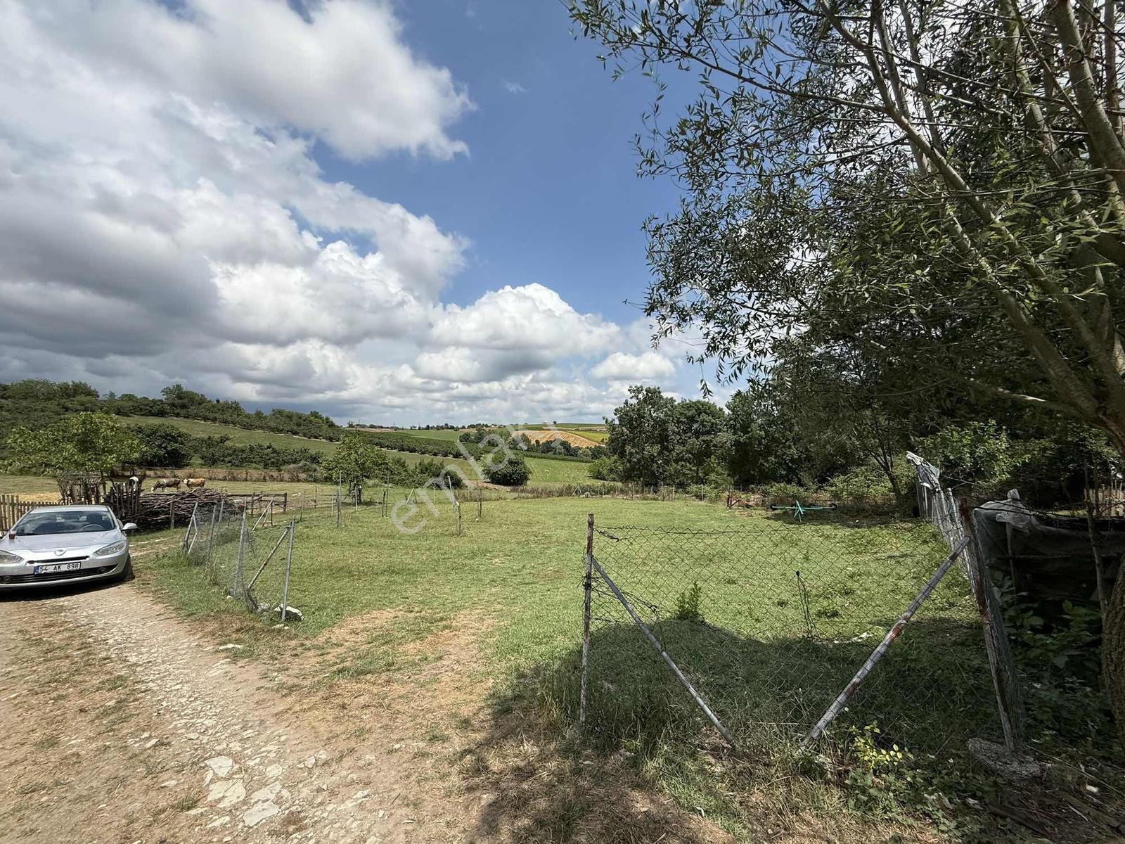 Kaynarca Osb Yakını Satılık 942m2 İmarlı Arsa - Görsel 5