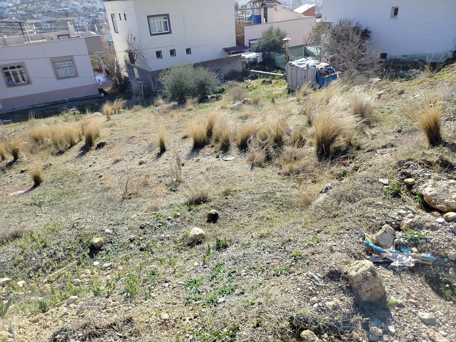 Kozan Gayrimenkuldn Diş Hastnesi Önünde 552mt2 Ayın Fırst Arsası - Görsel 3