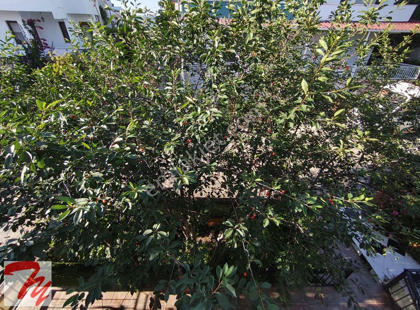 Kuşadası, Soğucak Mah. Satılık Villa - Görsel 31