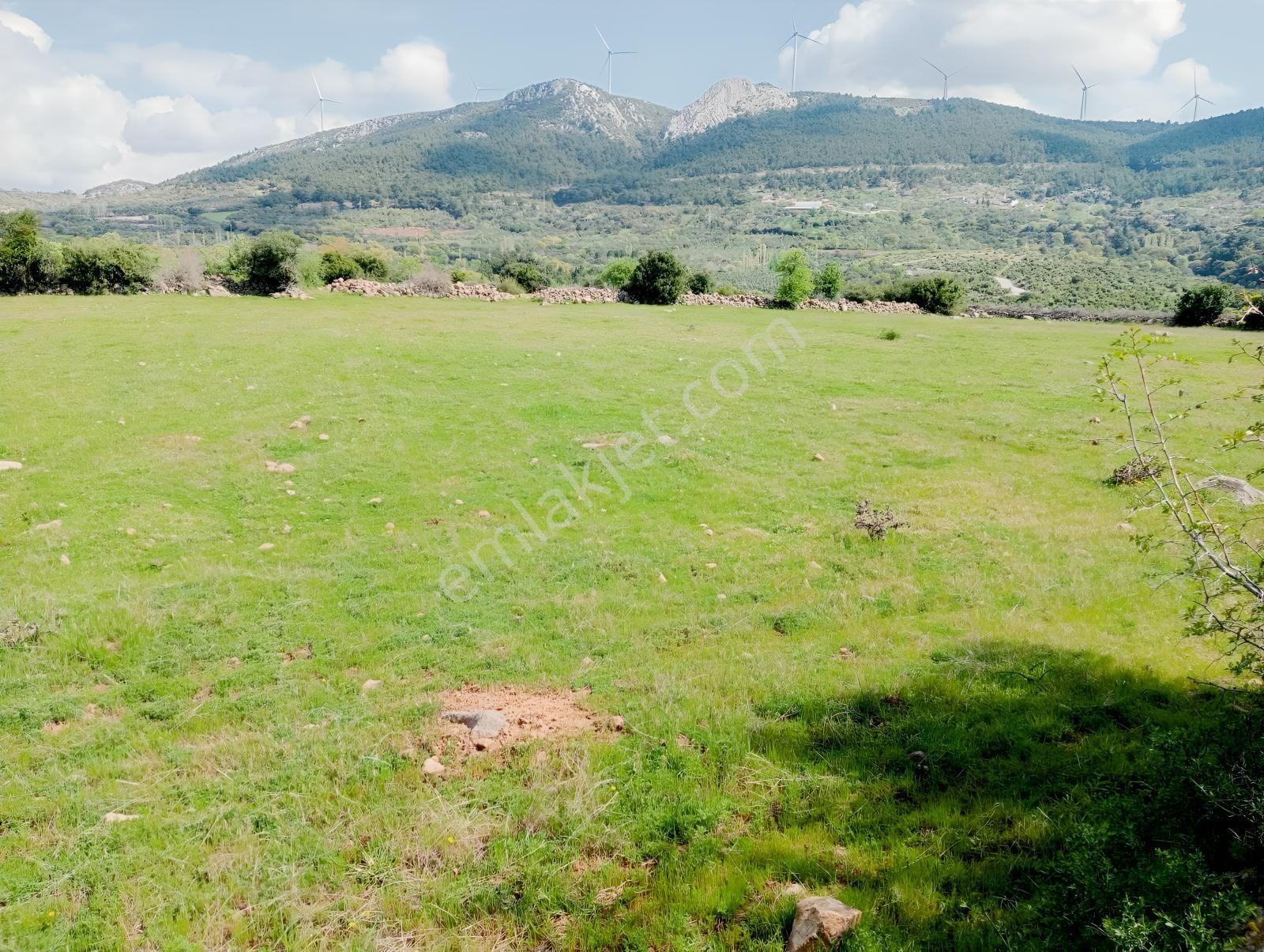 Çamoba Merasında 5161 M2 Tarla - Görsel 11