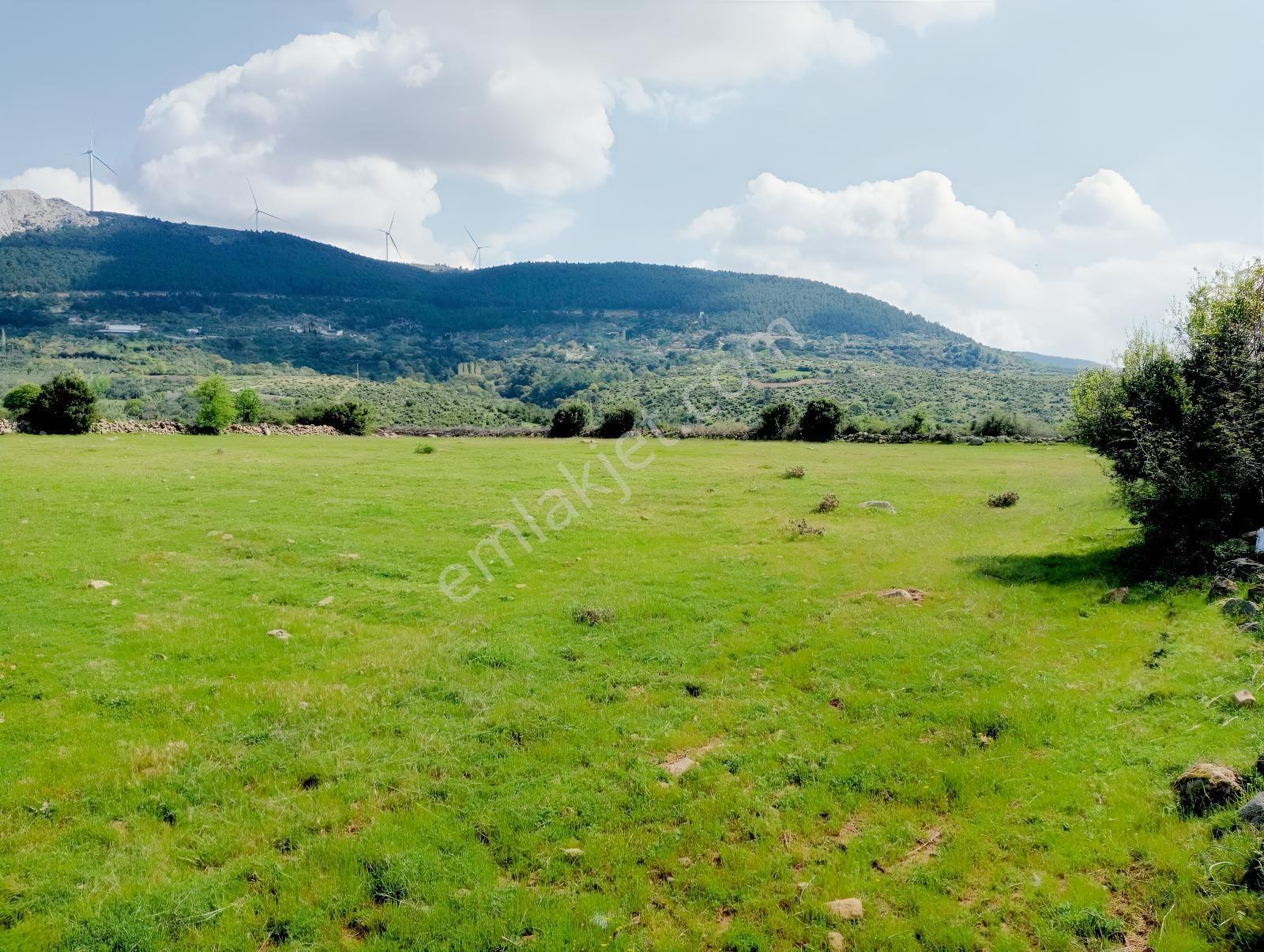 Çamoba Merasında 5161 M2 Tarla - Görsel 3