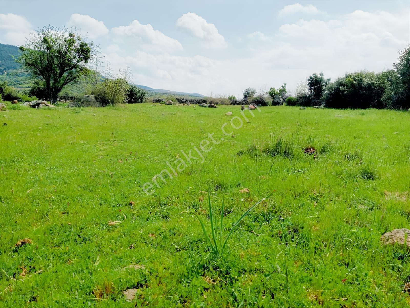 Çamoba Merasında 5161 M2 Tarla - Görsel 14