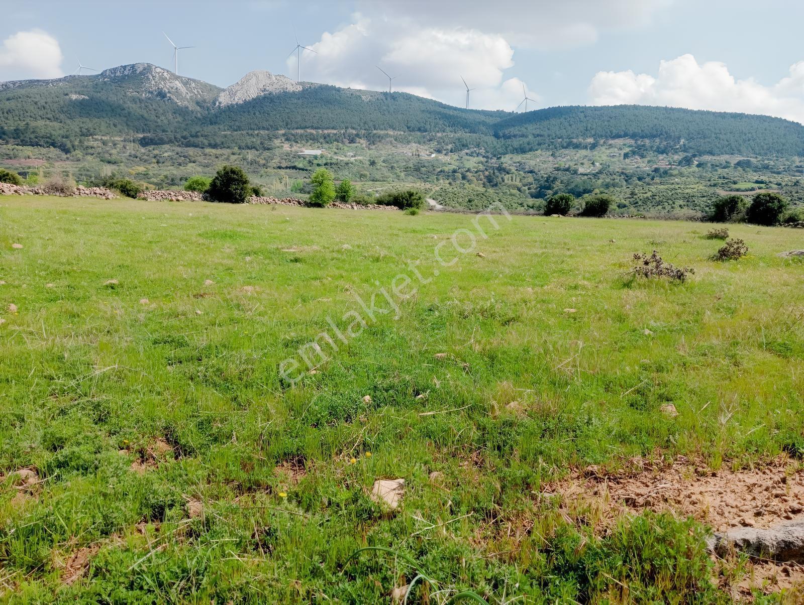 Çamoba Merasında 5161 M2 Tarla - Görsel 18