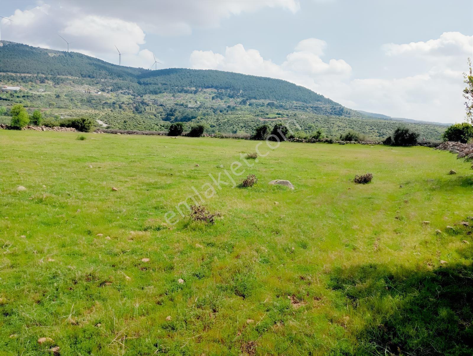 Çamoba Merasında 5161 M2 Tarla - Görsel 6
