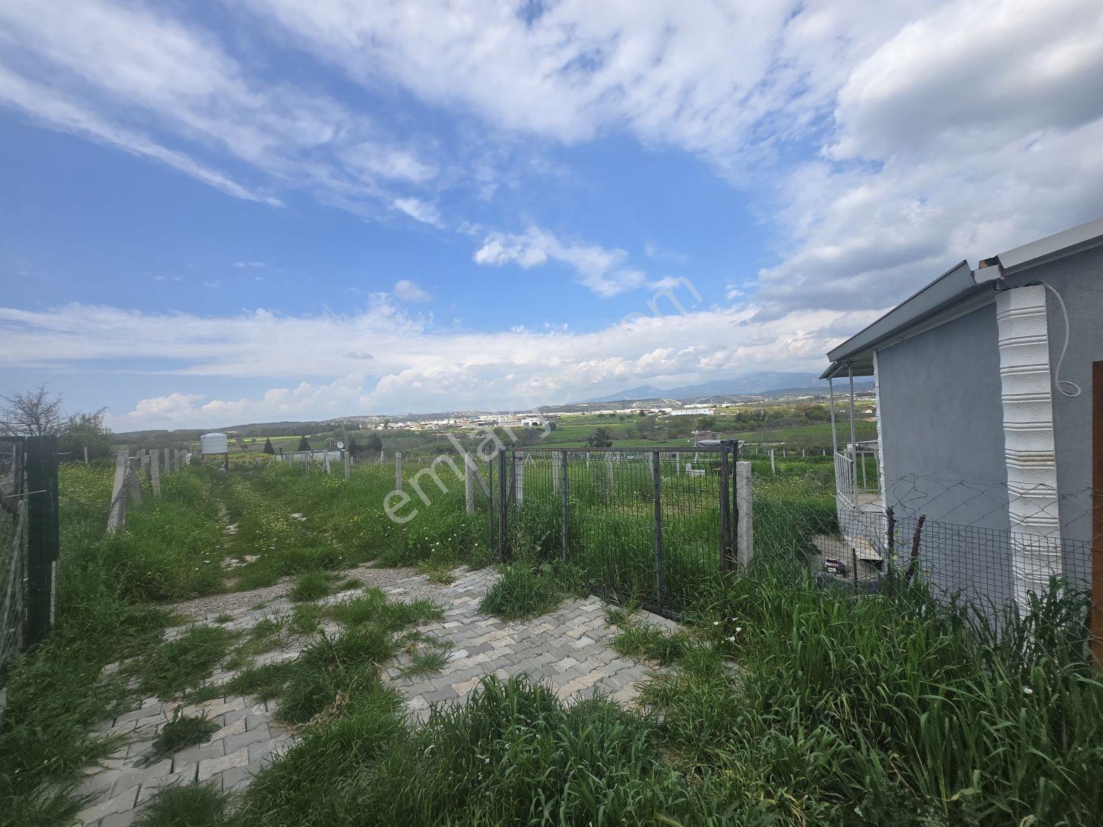 Menderes Oğlananasın Da Merkeze Yakın 398m2 Tarla - Görsel 3