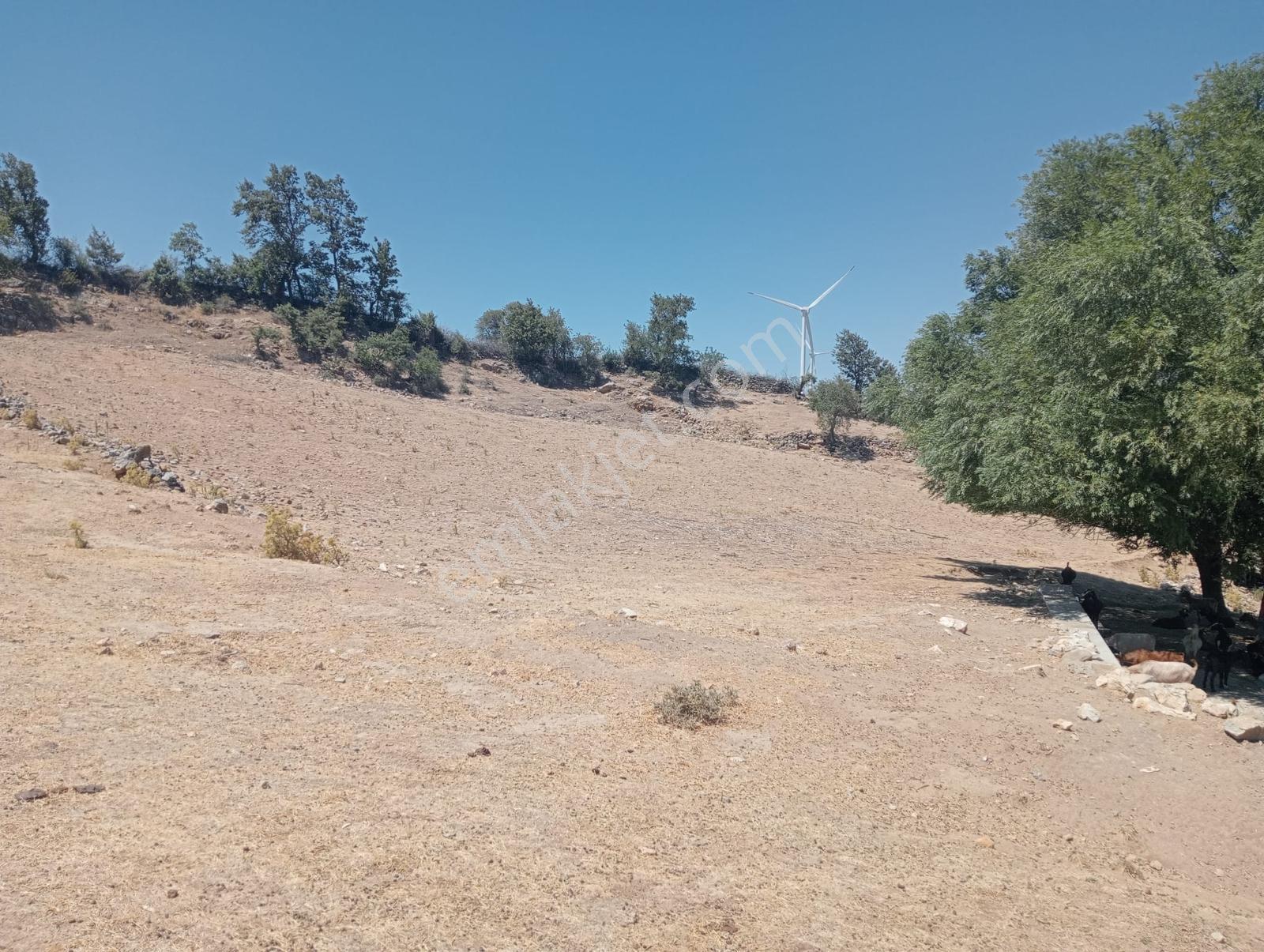 Çamoba Yaylasında Güneş Enerjisi Panali İçin Yatırmlık 9 Dekar T - Görsel 11