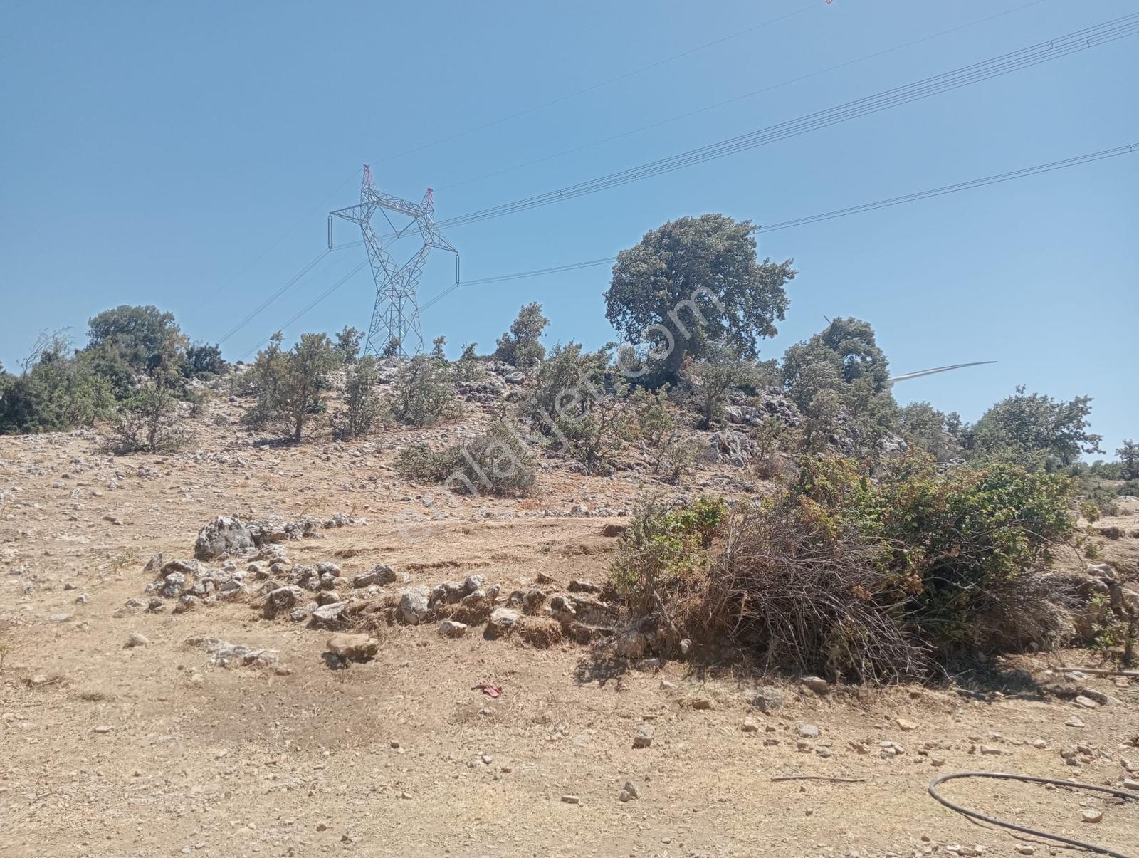Çamoba Yaylasında Güneş Enerjisi Panali İçin Yatırmlık 9 Dekar T - Görsel 18