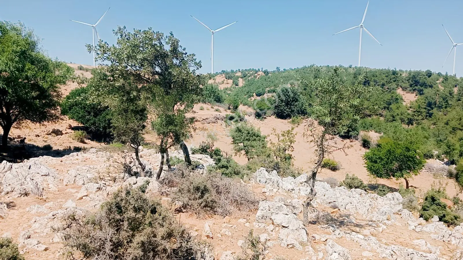 Çamoba Yaylasında Güneş Enerjisi Panali İçin Yatırmlık 9 Dekar T - Görsel 7