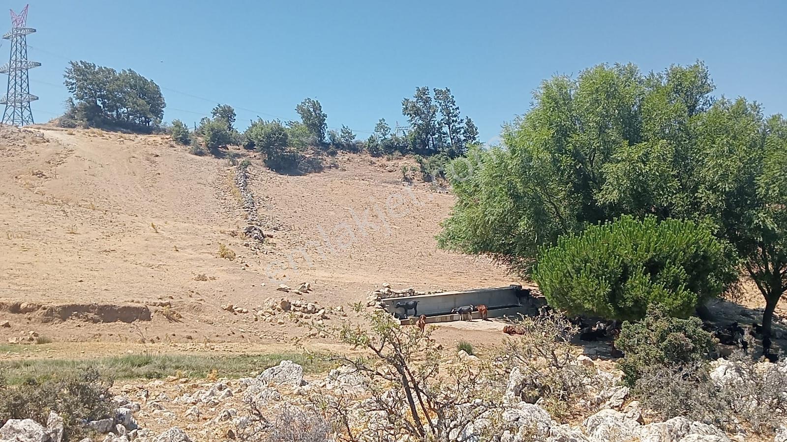 Çamoba Yaylasında Güneş Enerjisi Panali İçin Yatırmlık 9 Dekar T - Görsel 21