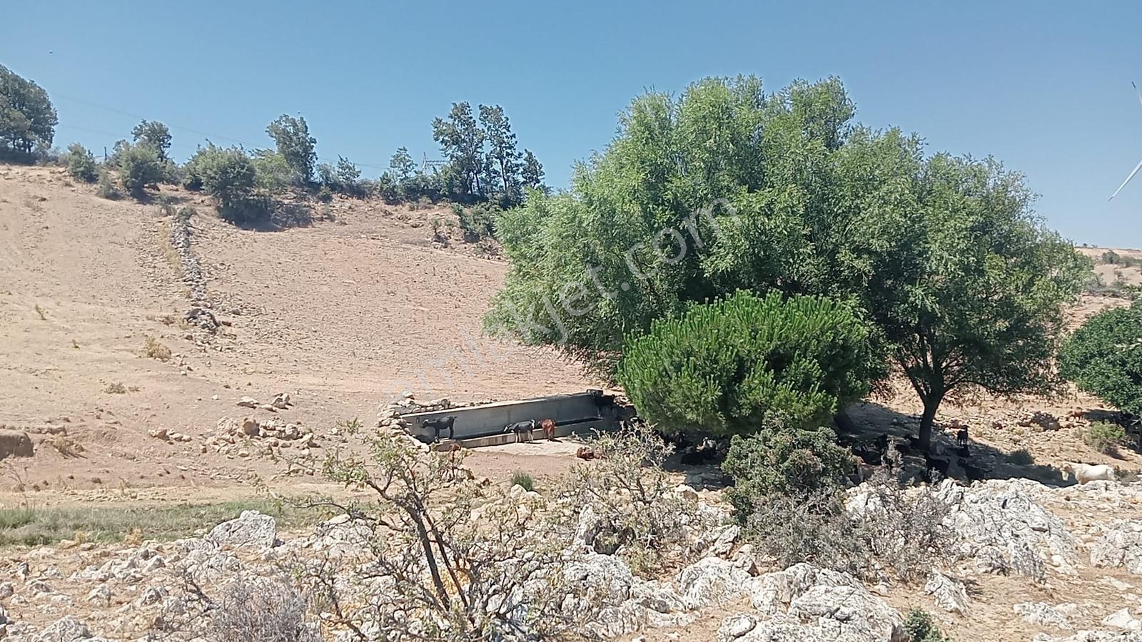 Çamoba Yaylasında Güneş Enerjisi Panali İçin Yatırmlık 9 Dekar T - Görsel 16