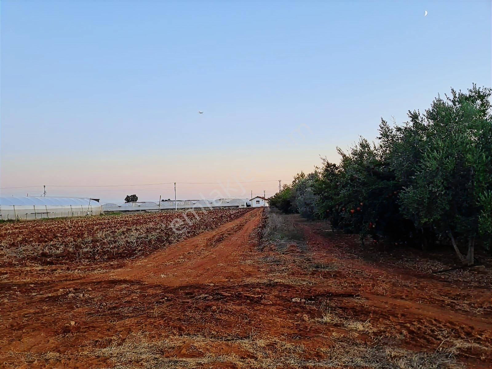 Komple Ticari Antalya Aksu Topallı Mah. Satılık Arazi 6520 M2. - Görsel 17