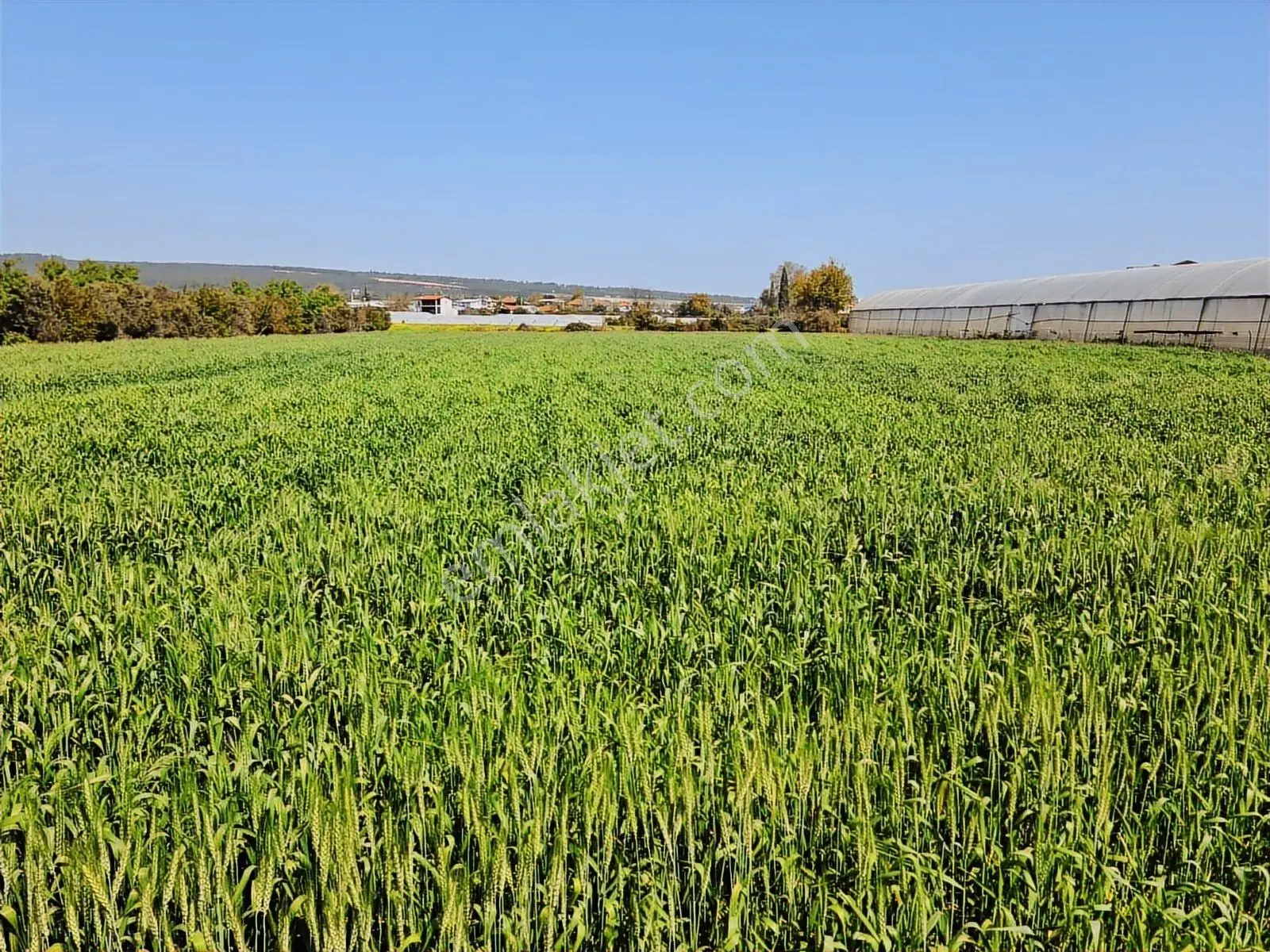 Komple Ticari Antalya Aksu Topallı Mah. Satılık Arazi 6520 M2. - Görsel 20