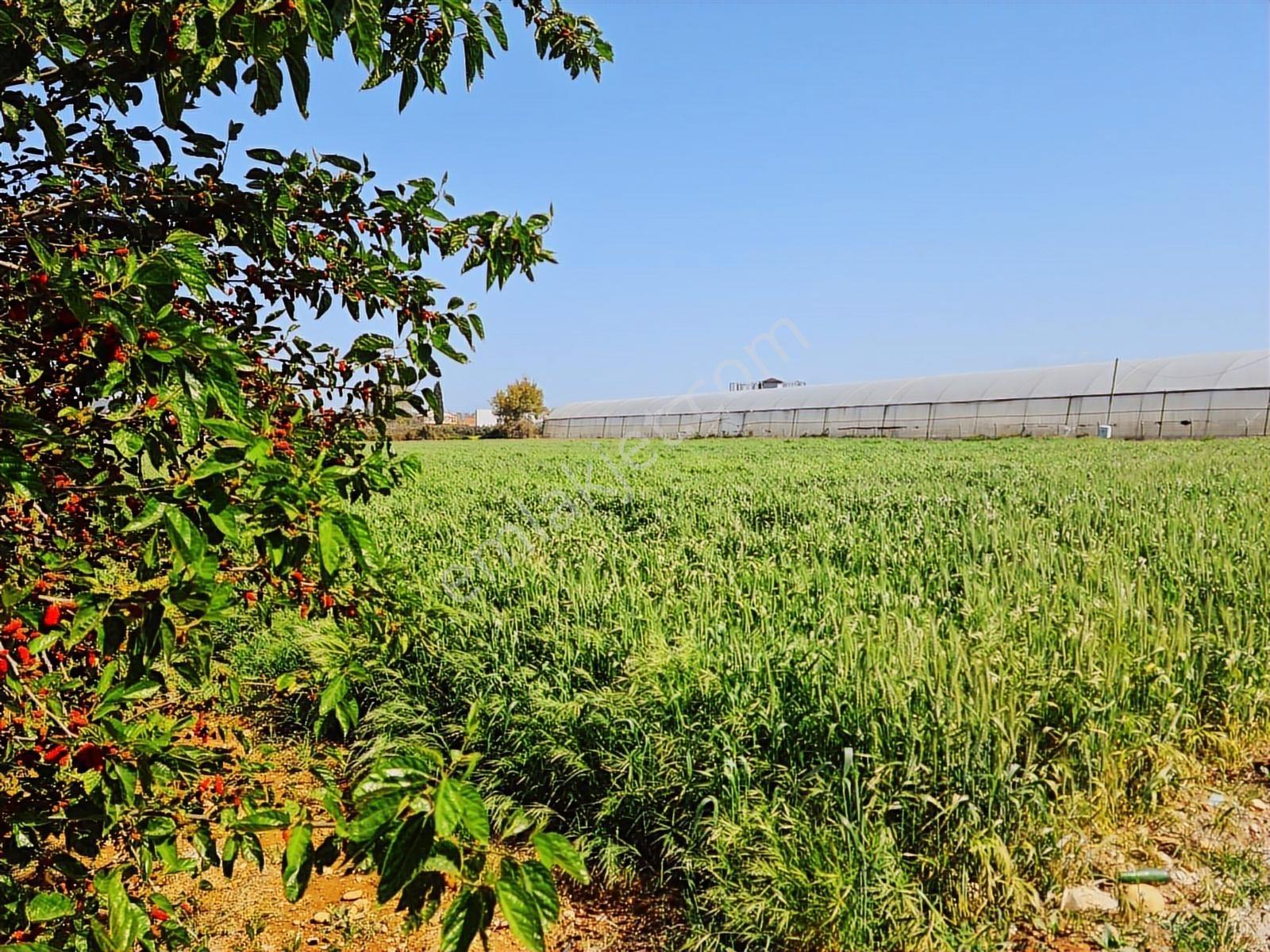 Komple Ticari Antalya Aksu Topallı Mah. Satılık Arazi 6520 M2. - Görsel 13