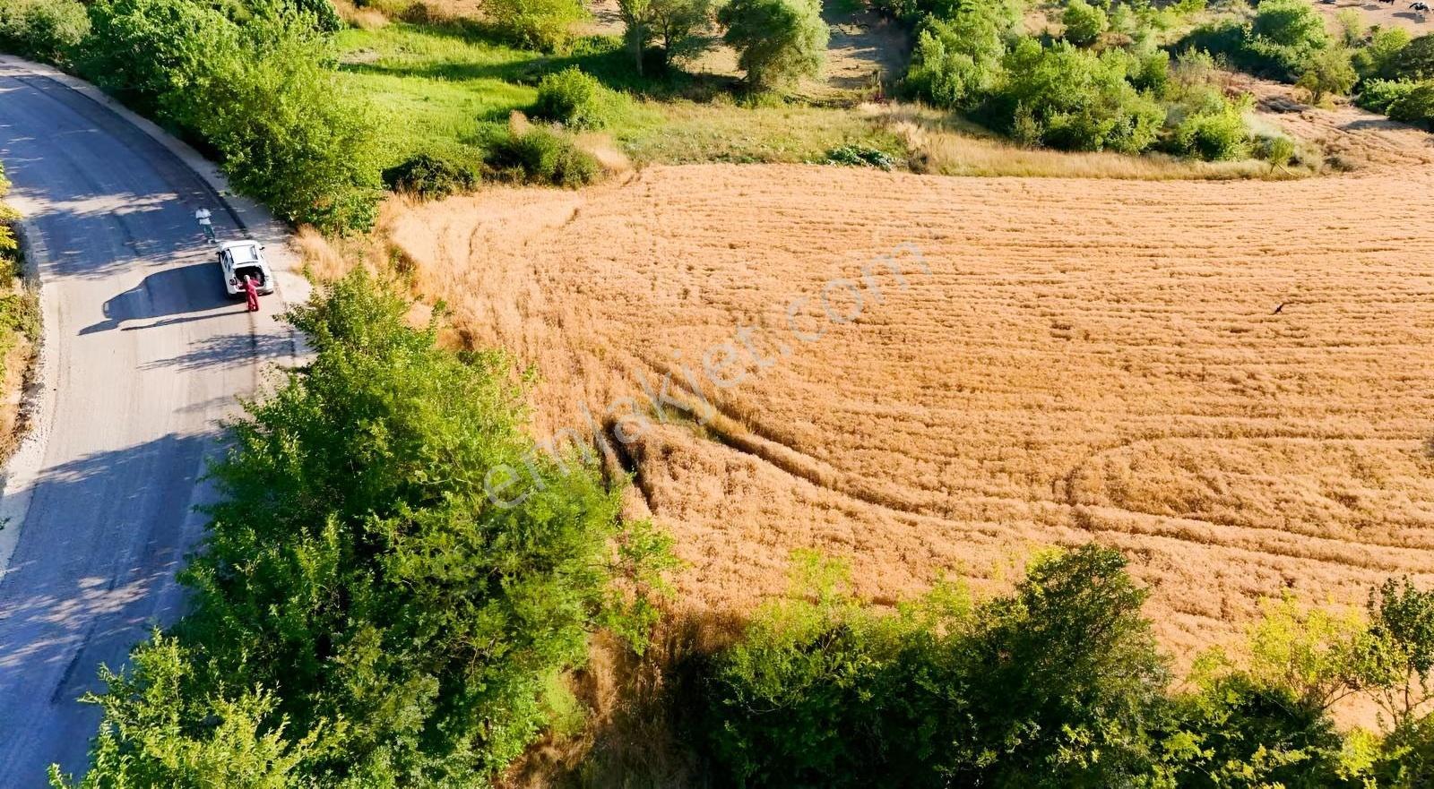 İmarlı Asfalt Yola Cephe (4 Dönümü İmarlı)5 Adet Arsa Çıkıyor - Görsel 4