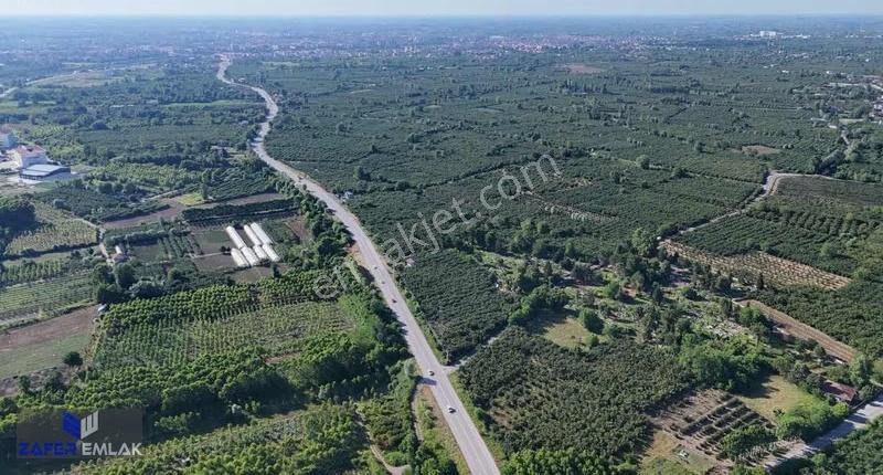 Zafer Emlak'tan Satılık 5.200 M2 Tarla