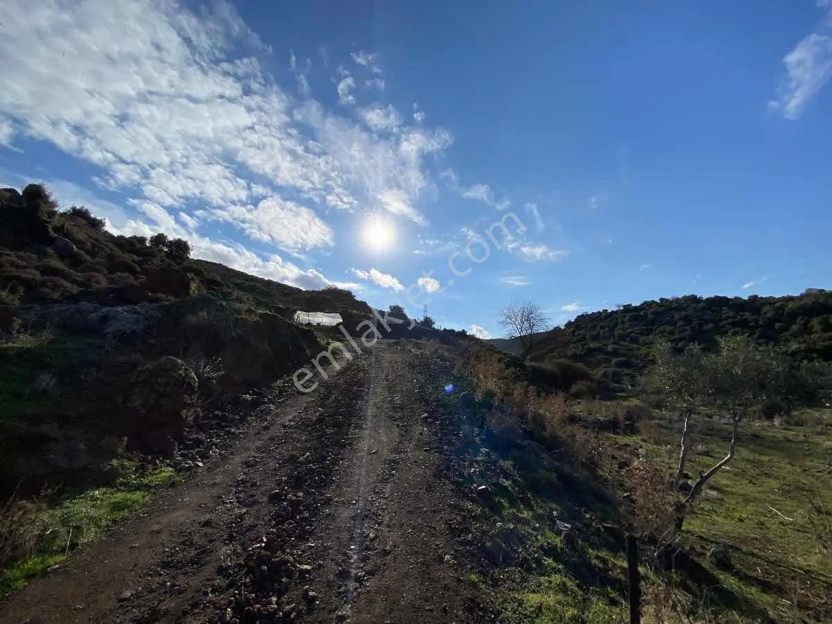 Menemen Emiralem Yayla Mahallesı Köy Içı İmarlı 608 M2arsa - Görsel 5