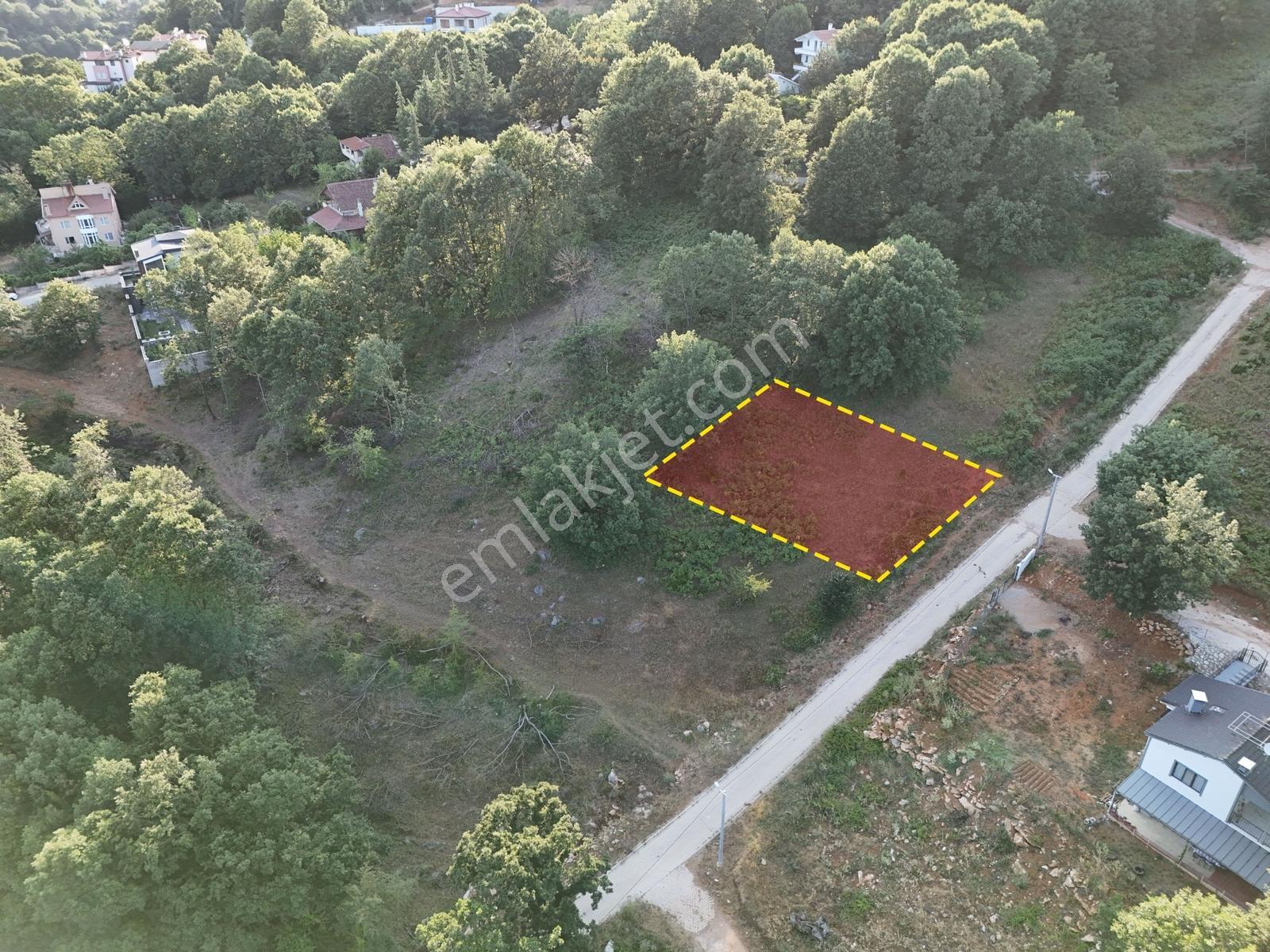 Yalova Güneyköy Doğa İçinde Yatırımlık Satılık Arsa - Görsel 3