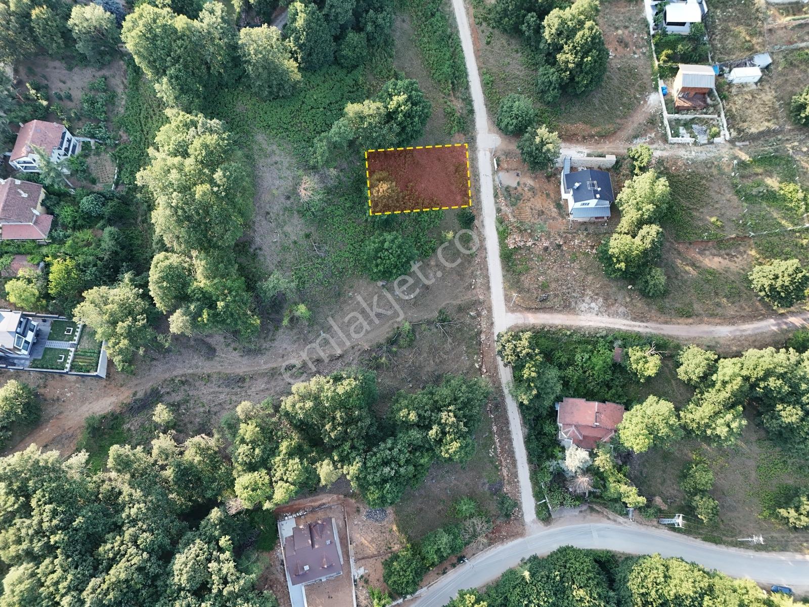 Yalova Güneyköy Doğa İçinde Yatırımlık Satılık Arsa - Görsel 4