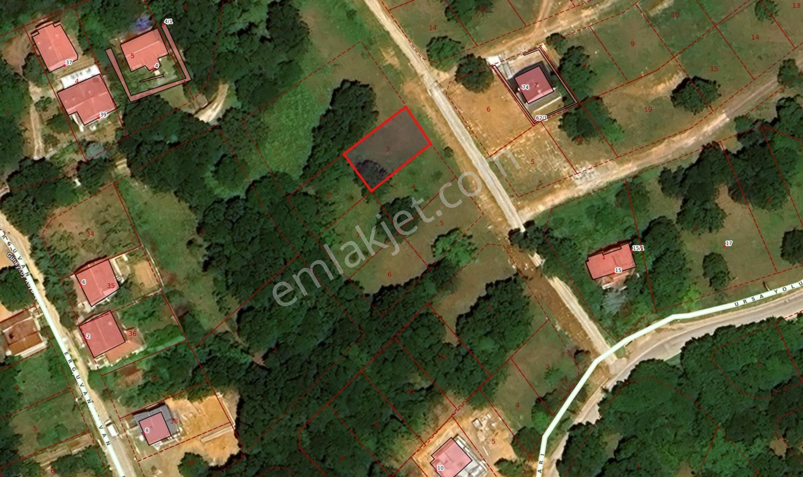 Yalova Güneyköy Doğa İçinde Yatırımlık Satılık Arsa - Görsel 2