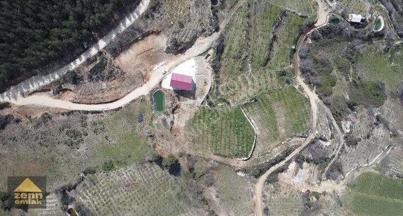 Erdemli De Satılık Kurulu Düzen Kivi Bahcesi Ve Deposu - Görsel 6