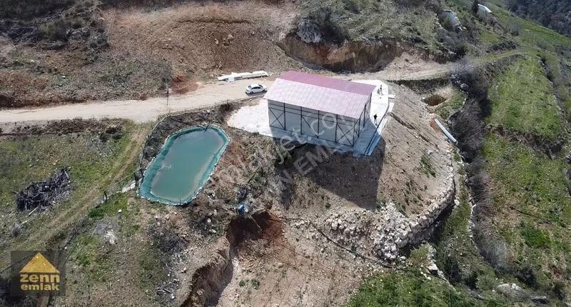 Erdemli De Satılık Kurulu Düzen Kivi Bahcesi Ve Deposu - Görsel 5