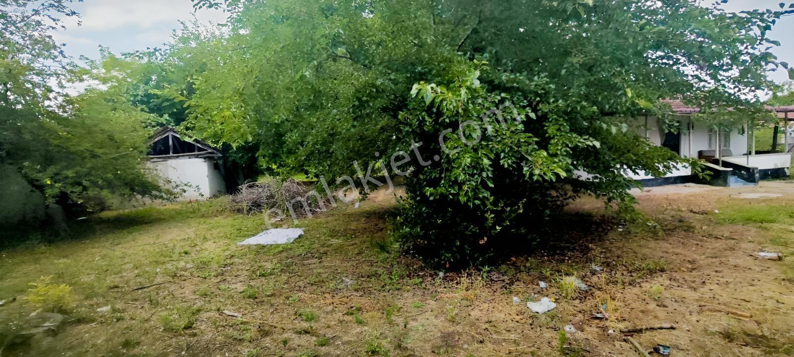 817 Metrekare İmarlı Müstakil Tapu.uzunçınar Cadde Üstünde Arsa - Görsel 9