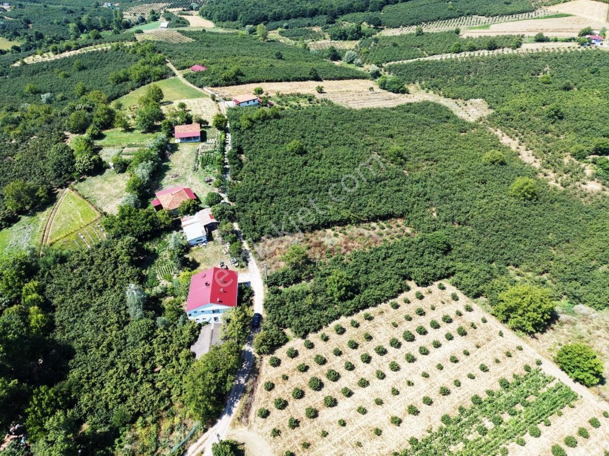 Kaynarca Gürpınarda Köy İçi İmarlı, 980 M² Arsa - Görsel 14