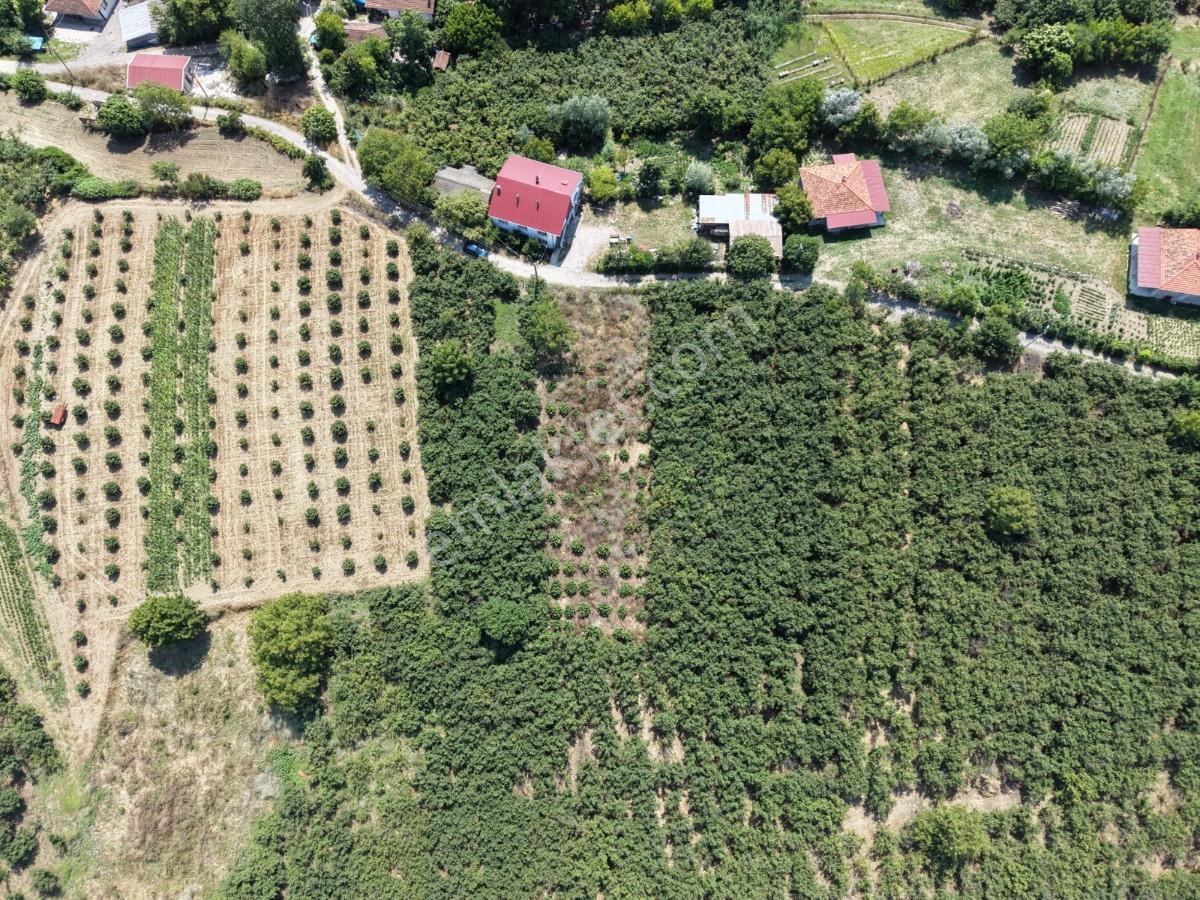 Kaynarca Gürpınarda Köy İçi İmarlı, 980 M² Arsa - Görsel 23