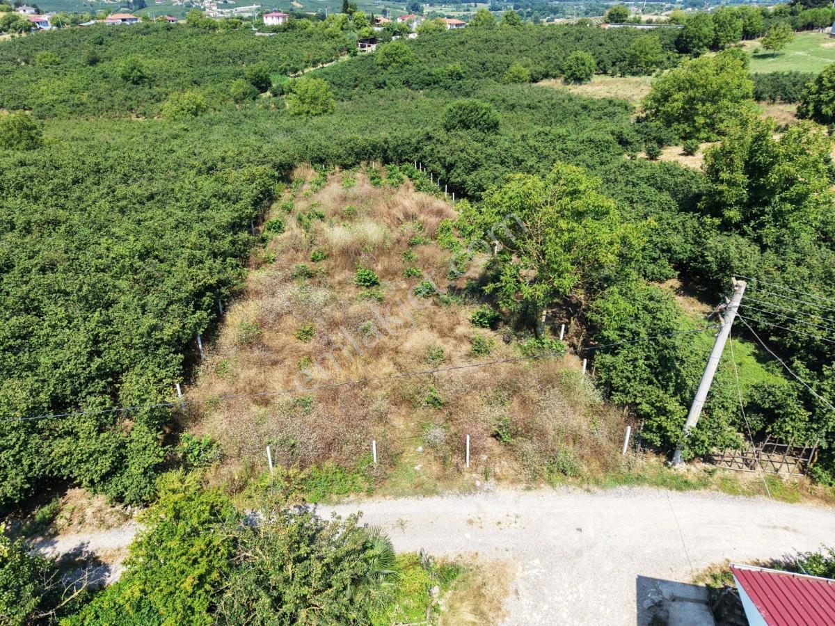 Kaynarca Gürpınarda Köy İçi İmarlı, 980 M² Arsa - Görsel 31