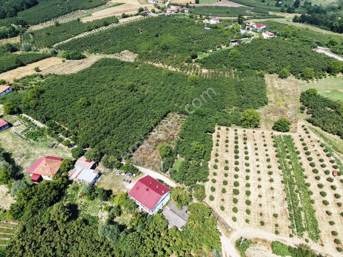 Kaynarca Gürpınarda Köy İçi İmarlı, 980 M² Arsa - Görsel 12