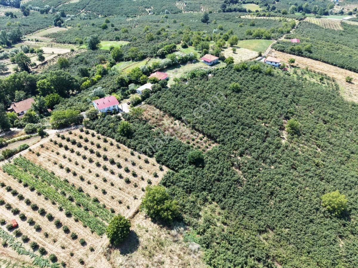 Kaynarca Gürpınarda Köy İçi İmarlı, 980 M² Arsa - Görsel 15