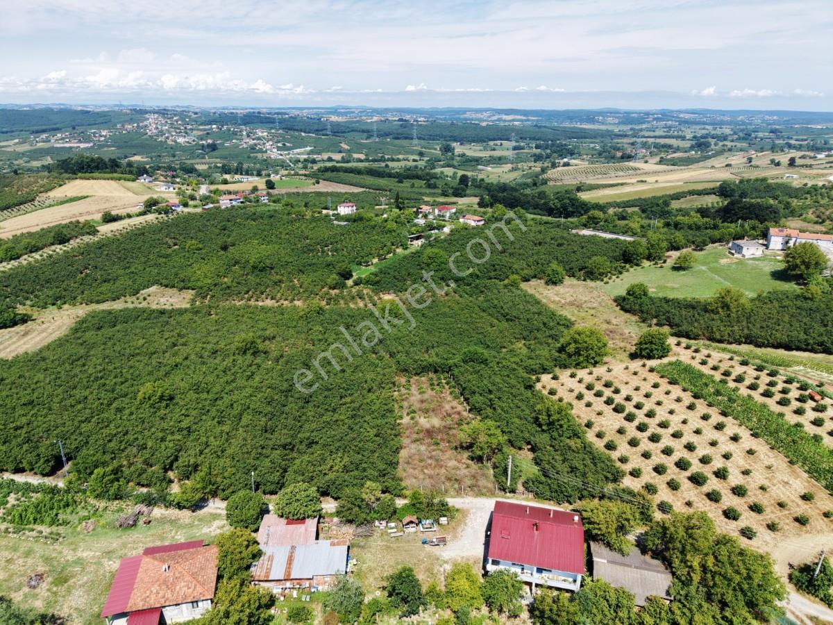 Kaynarca Gürpınarda Köy İçi İmarlı, 980 M² Arsa - Görsel 4