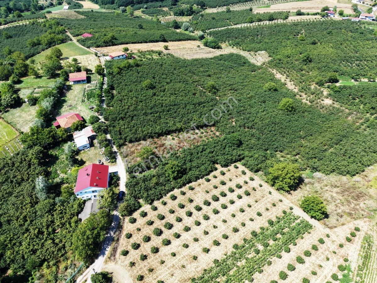 Kaynarca Gürpınarda Köy İçi İmarlı, 980 M² Arsa - Görsel 17