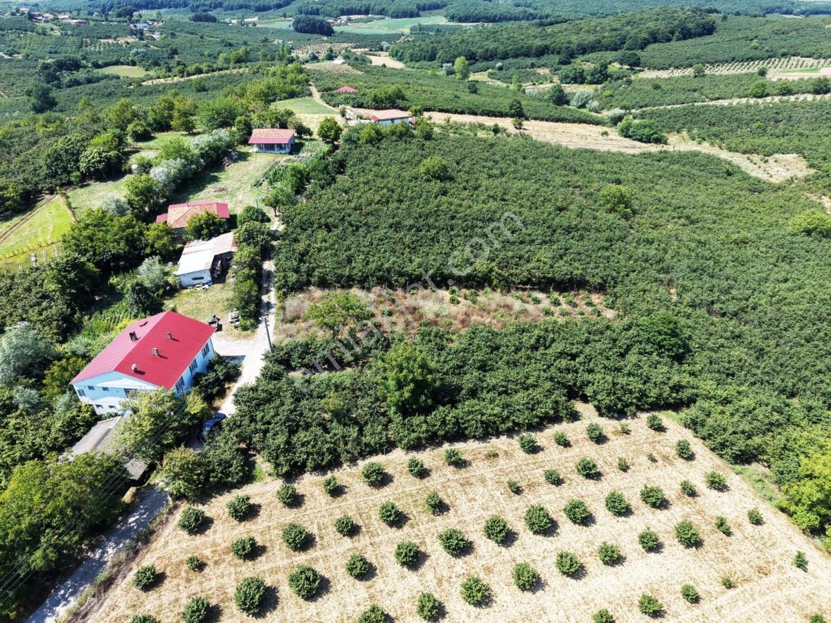 Kaynarca Gürpınarda Köy İçi İmarlı, 980 M² Arsa - Görsel 20