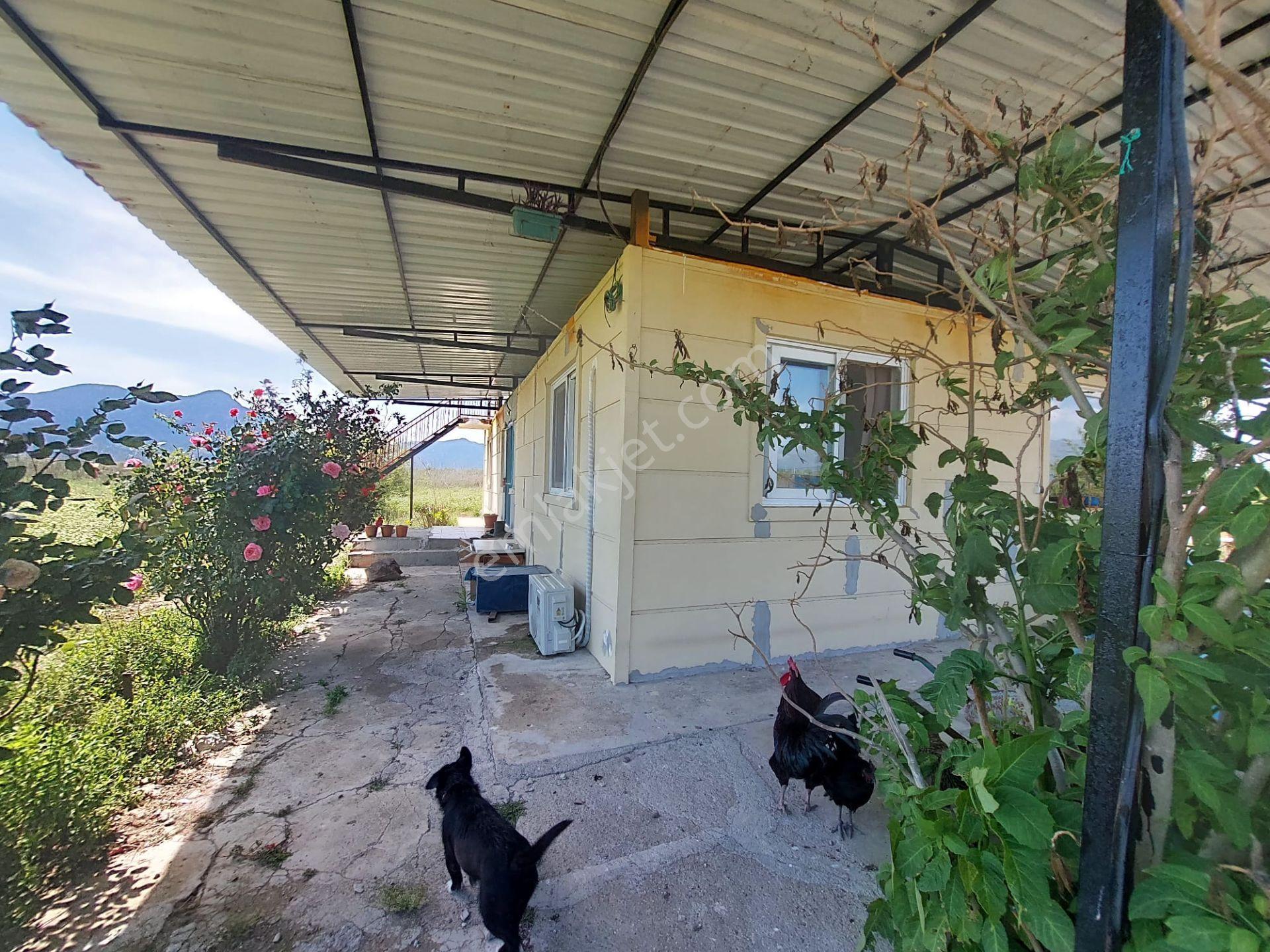Muğla Ortaca Tepearasın Da 9 647 M2 Müstakil Arazi Kelepir Köy Ev Satılık - Görsel 4