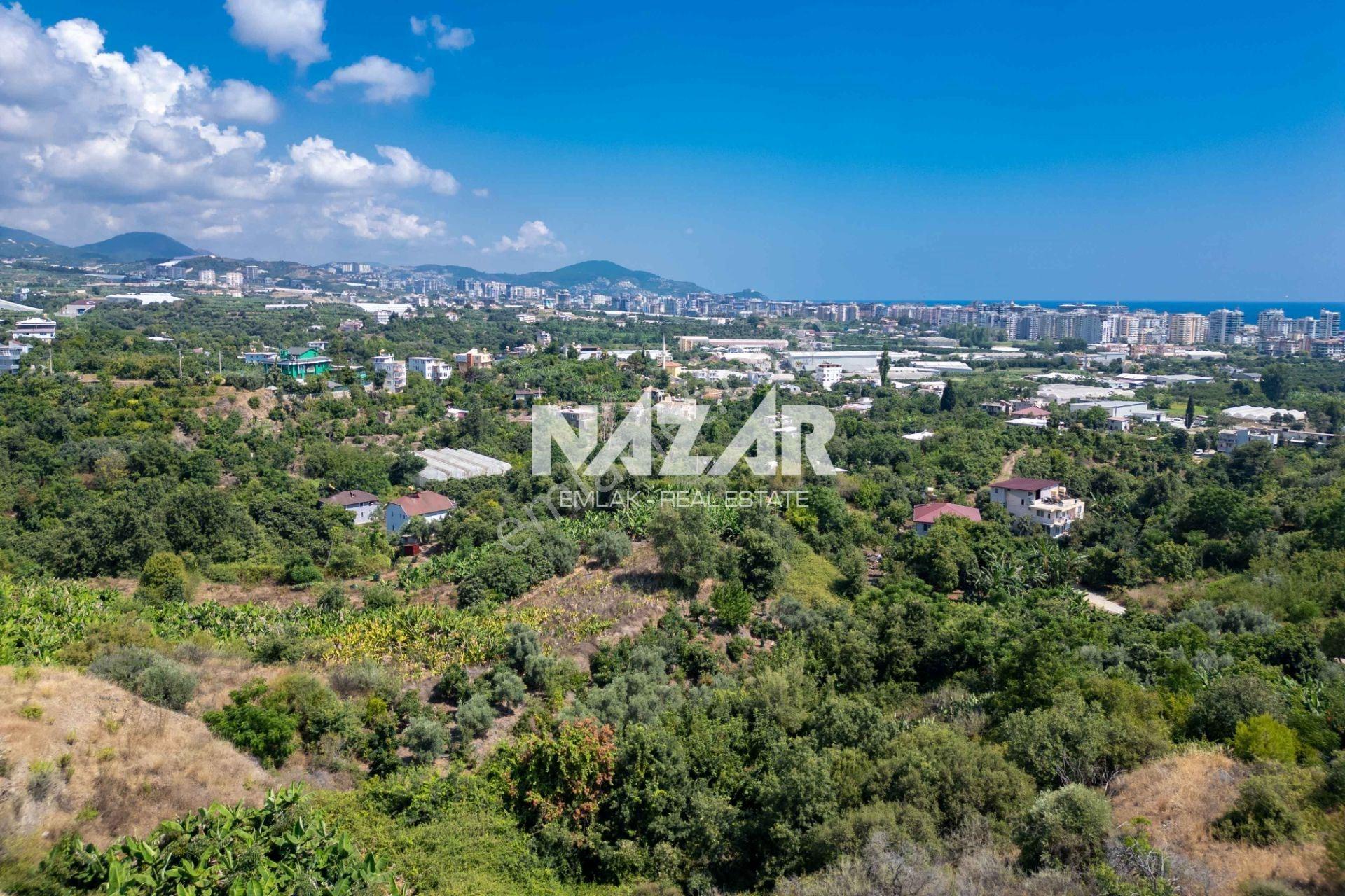 Alanya Kestel’de 1.309 M² Satılık Tarla / Bahçe - Görsel 13