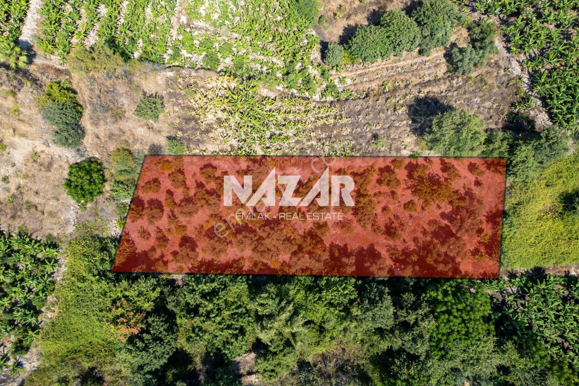 Alanya Kestel’de 1.309 M² Satılık Tarla / Bahçe - Görsel 4