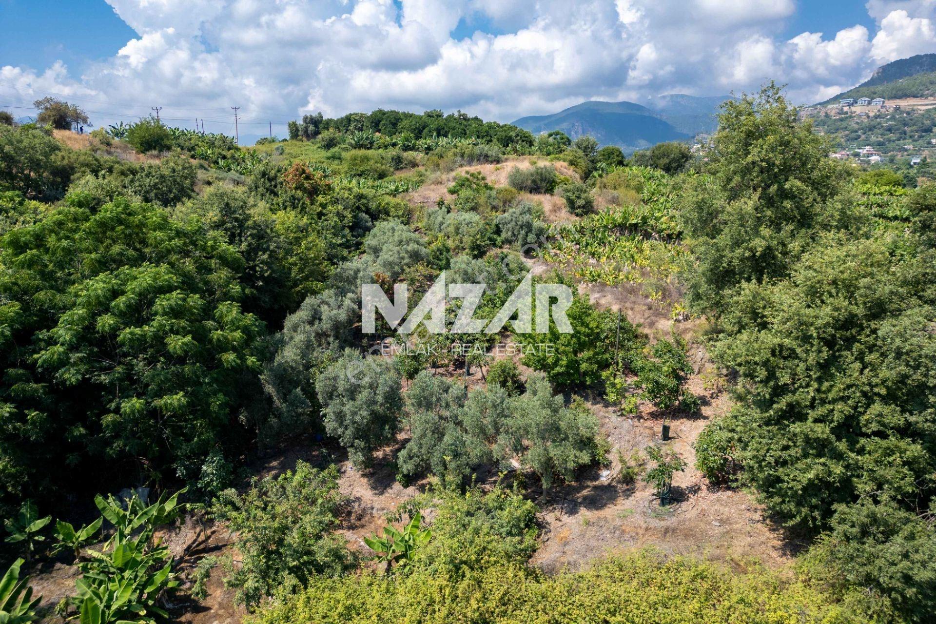 Alanya Kestel’de 1.309 M² Satılık Tarla / Bahçe - Görsel 12