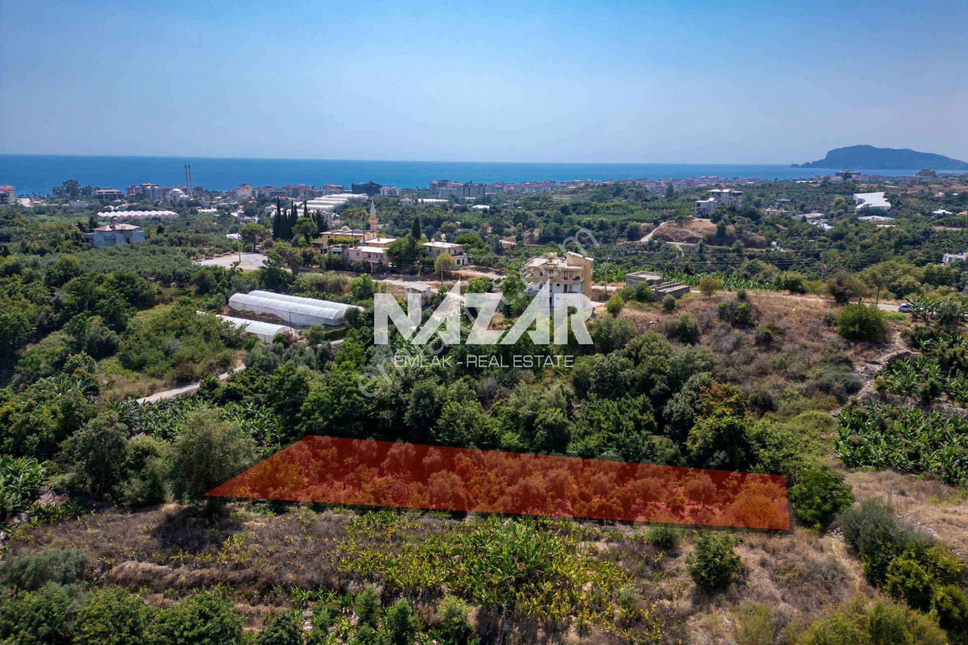 Alanya Kestel’de 1.309 M² Satılık Tarla / Bahçe - Görsel 3