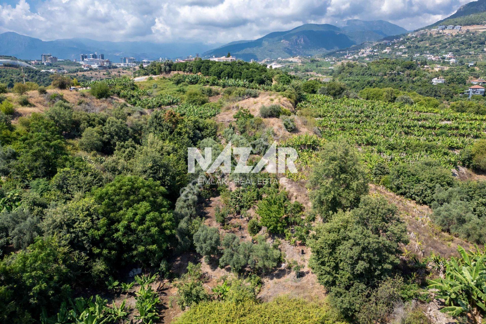 Alanya Kestel’de 1.309 M² Satılık Tarla / Bahçe - Görsel 11