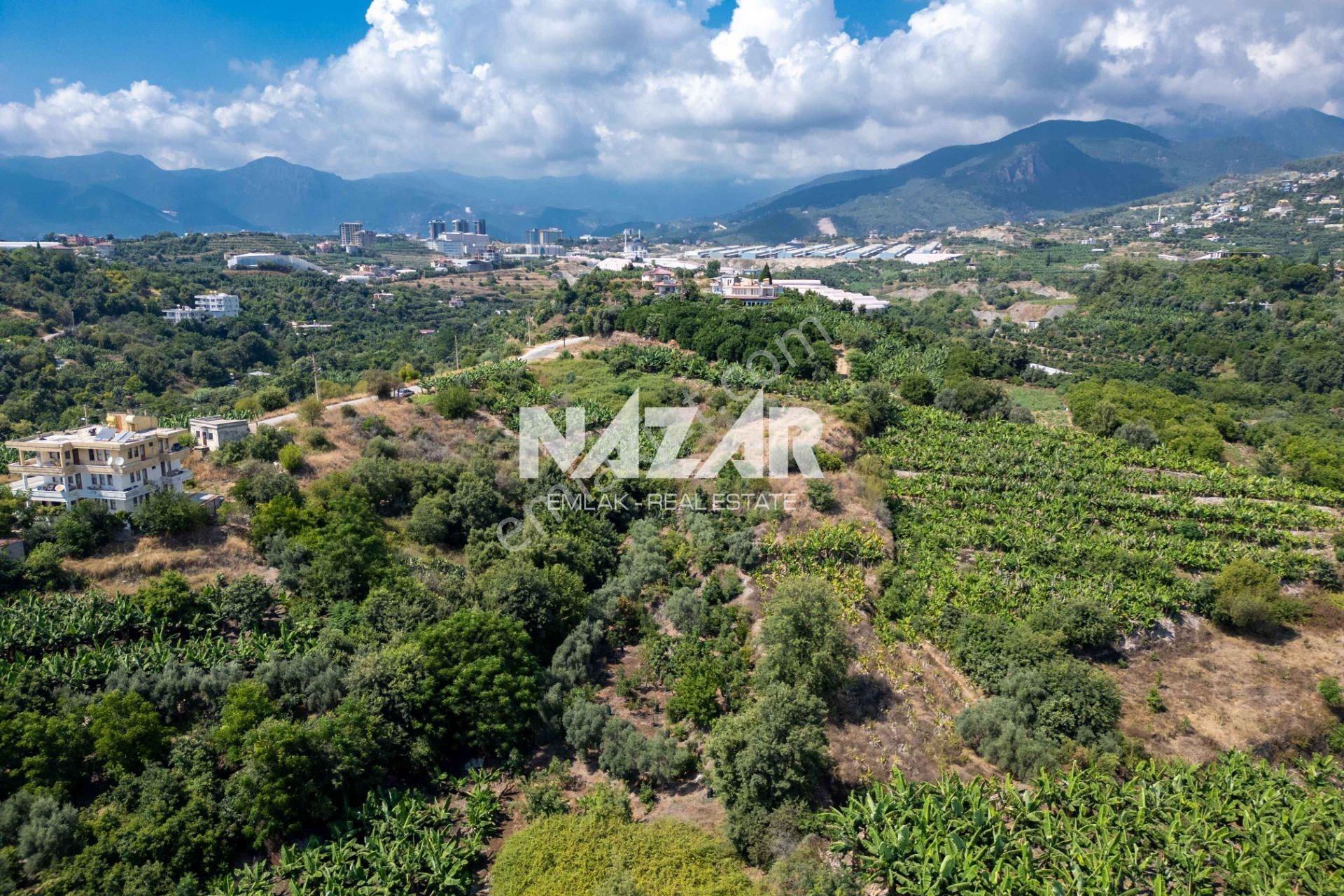 Alanya Kestel’de 1.309 M² Satılık Tarla / Bahçe - Görsel 8