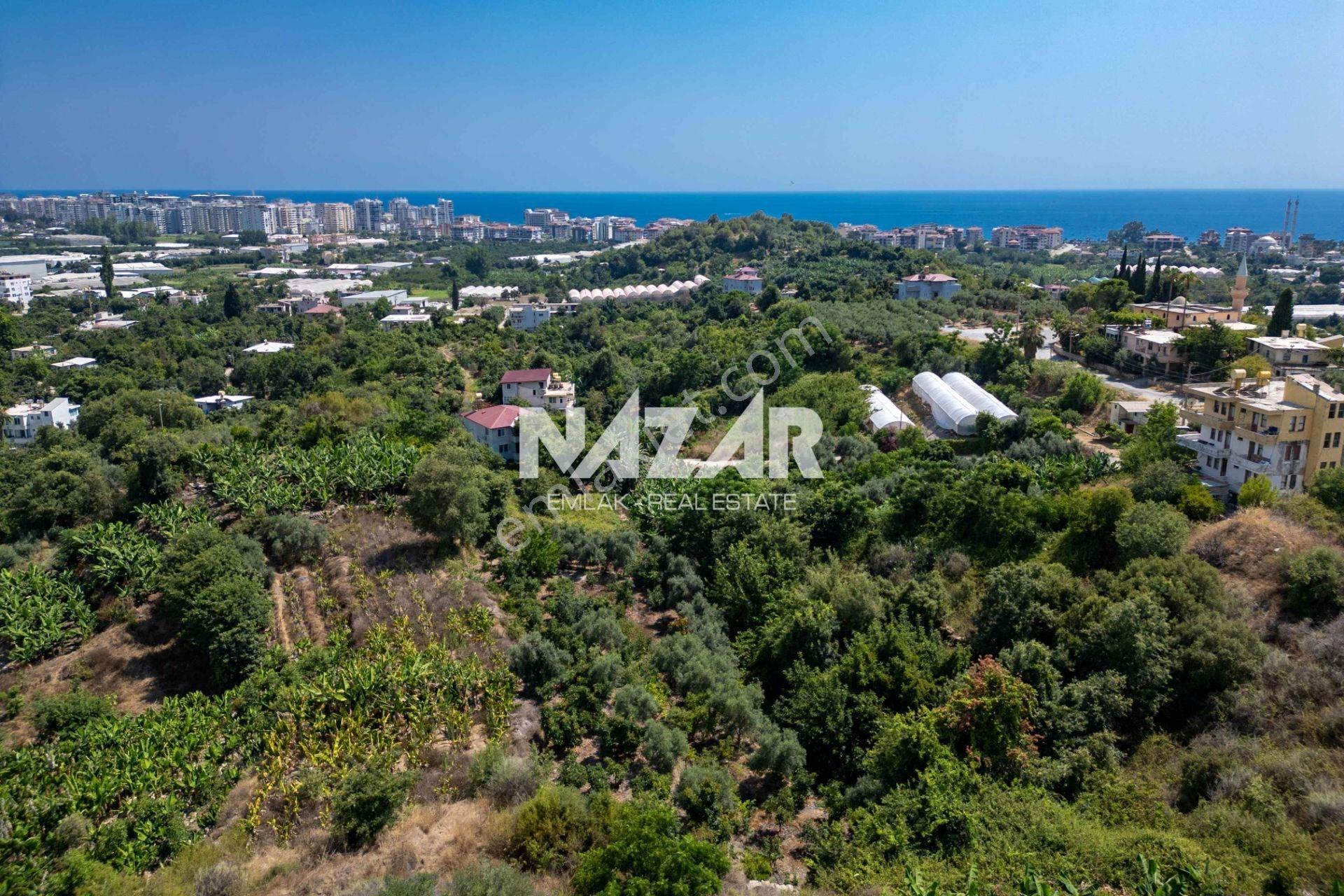 Alanya Kestel’de 1.309 M² Satılık Tarla / Bahçe