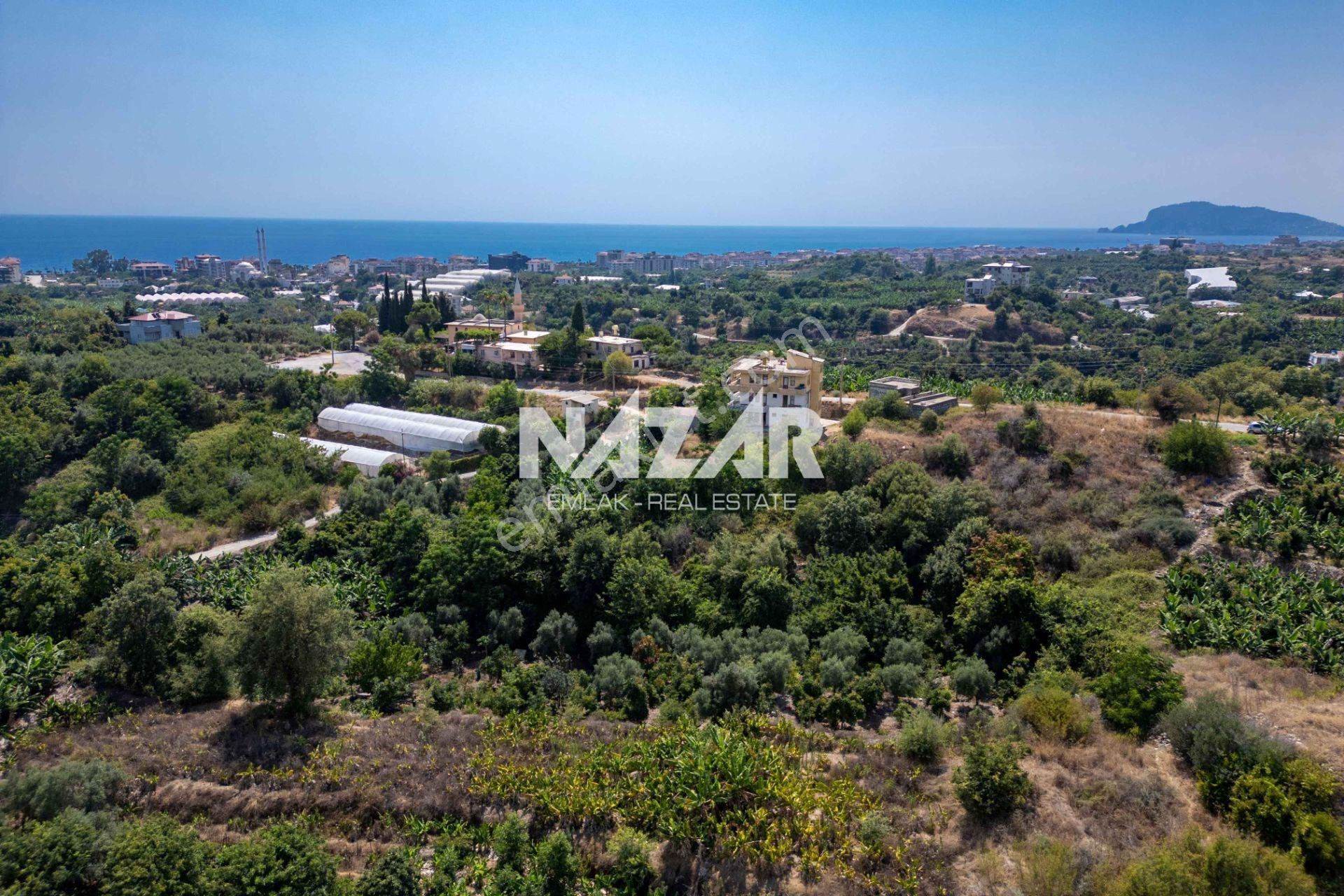 Alanya Kestel’de 1.309 M² Satılık Tarla / Bahçe - Görsel 7