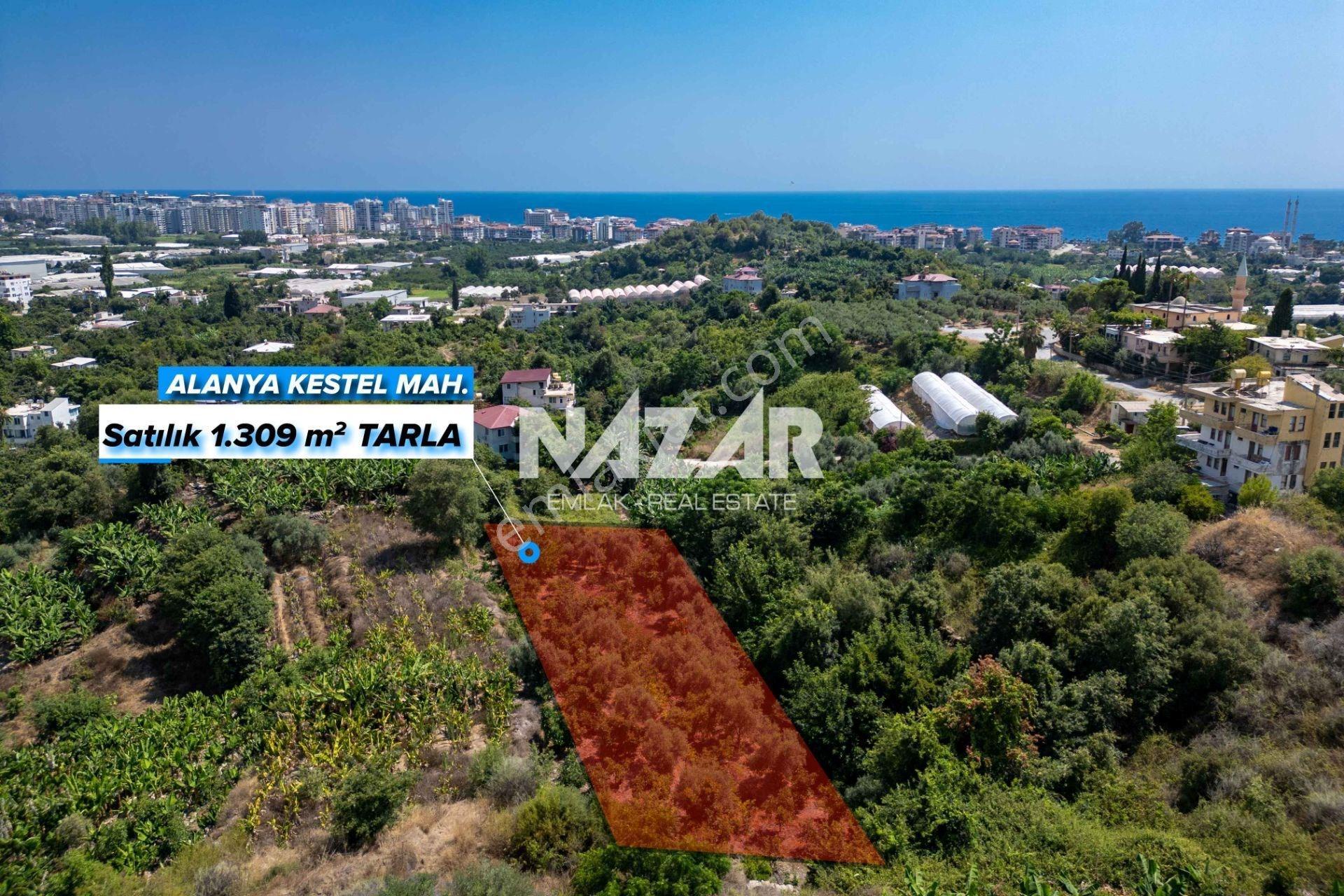 Alanya Kestel’de 1.309 M² Satılık Tarla / Bahçe - Görsel 2