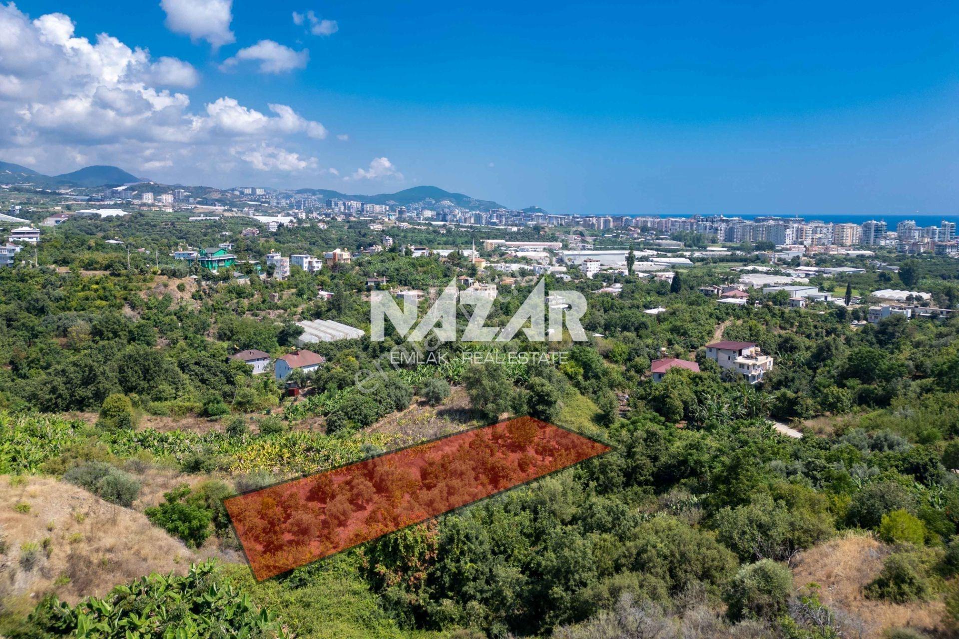 Alanya Kestel’de 1.309 M² Satılık Tarla / Bahçe - Görsel 5